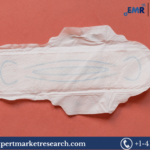 Sanitary Napkin Market Report