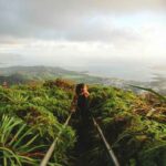 Guide to Haiku Stairs Oahu Trail