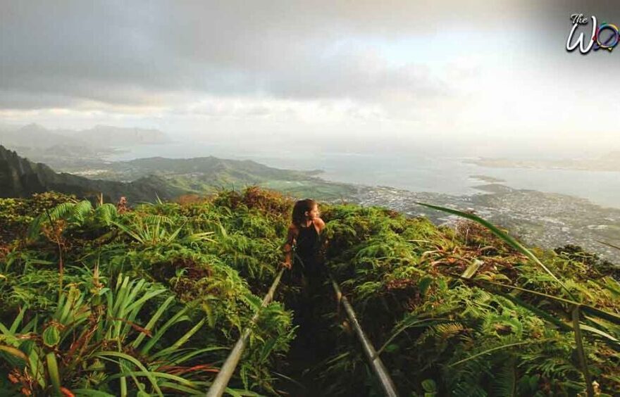 Guide to Haiku Stairs Oahu Trail