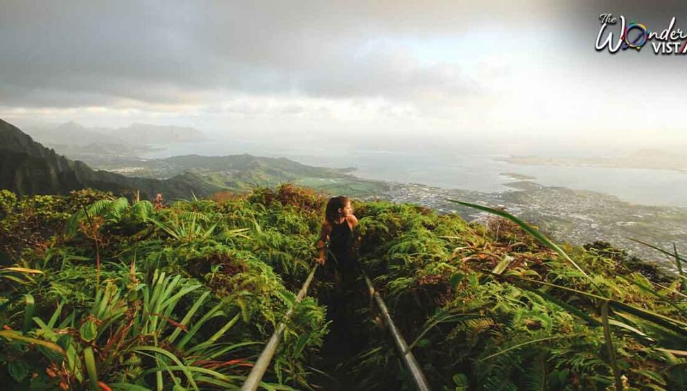 Guide to Haiku Stairs Oahu Trail