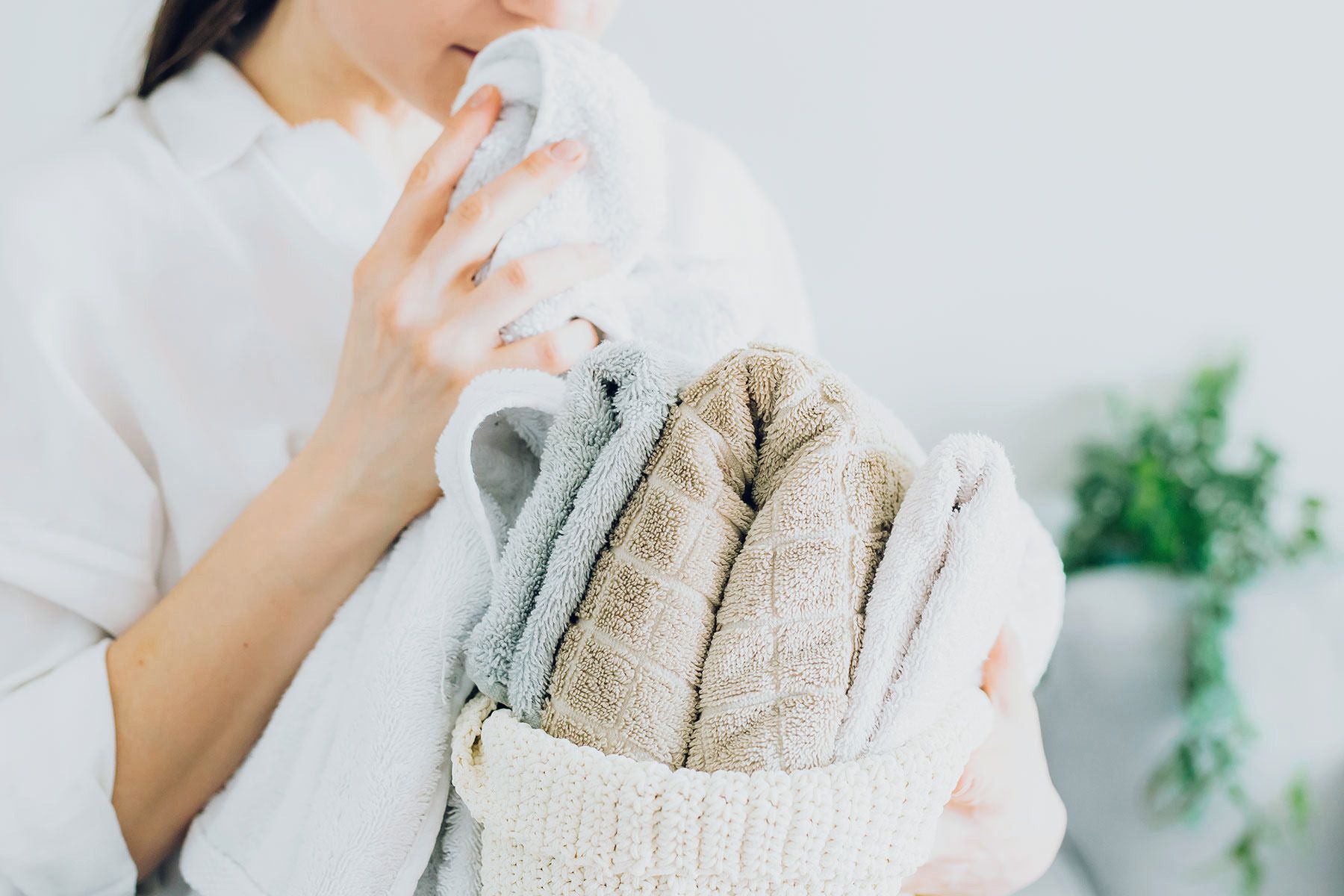 What Causes A Musty Odor Smell In Carpet?