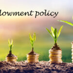 endowment policy insurance