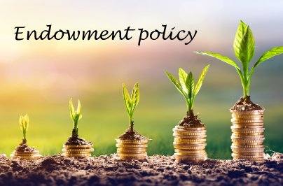 endowment policy insurance