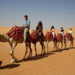 Unveiling the Enchantment: A Desert Safari Adventure in Dubai