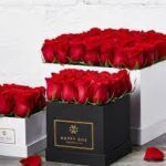 Expressing Love and Affection: The Convenience of Roses Delivery in Dubai