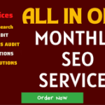 SEO Company Jaipur