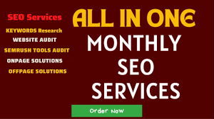 SEO Company Jaipur