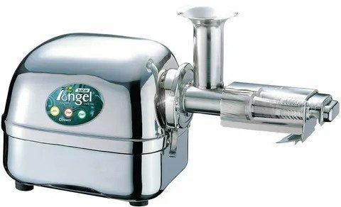 Super Angel Pro Stainless Steel Juicer