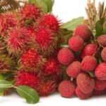 Rambutan vs. Lychee: A Taste Test and Nutritional Comparison