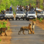 8 Tourist Attractions in Sariska