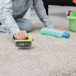 The Hidden Benefits of Professional Carpet Cleaning for Your Family