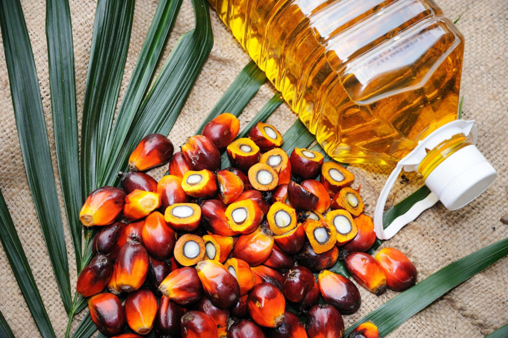 United States Palm Oil Market