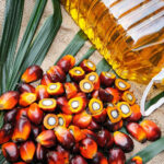 United States Palm Oil Market