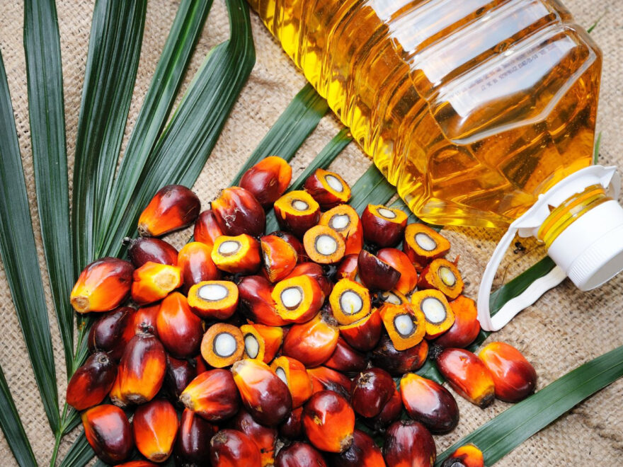 United States Palm Oil Market