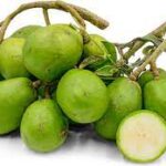 Advantages of Ambarella Fruit for Males’s Well-Being