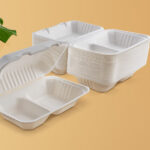 Takeaway Boxes