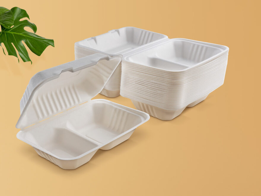 Takeaway Boxes