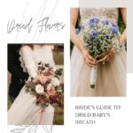 The Bride’s Guide to Dried Baby’s Breath: A Timeless Elegance in Wedding Decor