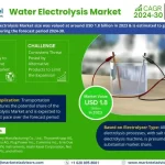 Global Water Electrolysis Market