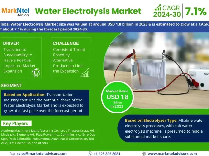 Global Water Electrolysis Market