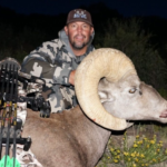 Epic Bighorn Sheep Hunting Colorado: What You Must Know