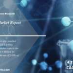 Isobutyramide Market Size, Share, Trends, Industry, Growth and Research Report 2024 to 2032