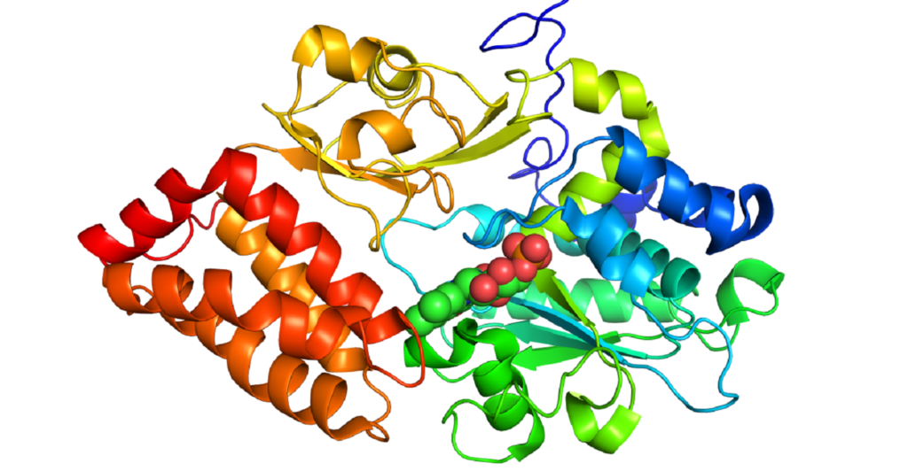 Unveiling the Future: A Comprehensive Analysis of the Molecular Glues Market in 2024-32