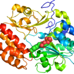 Unveiling the Future: A Comprehensive Analysis of the Molecular Glues Market in 2024-32