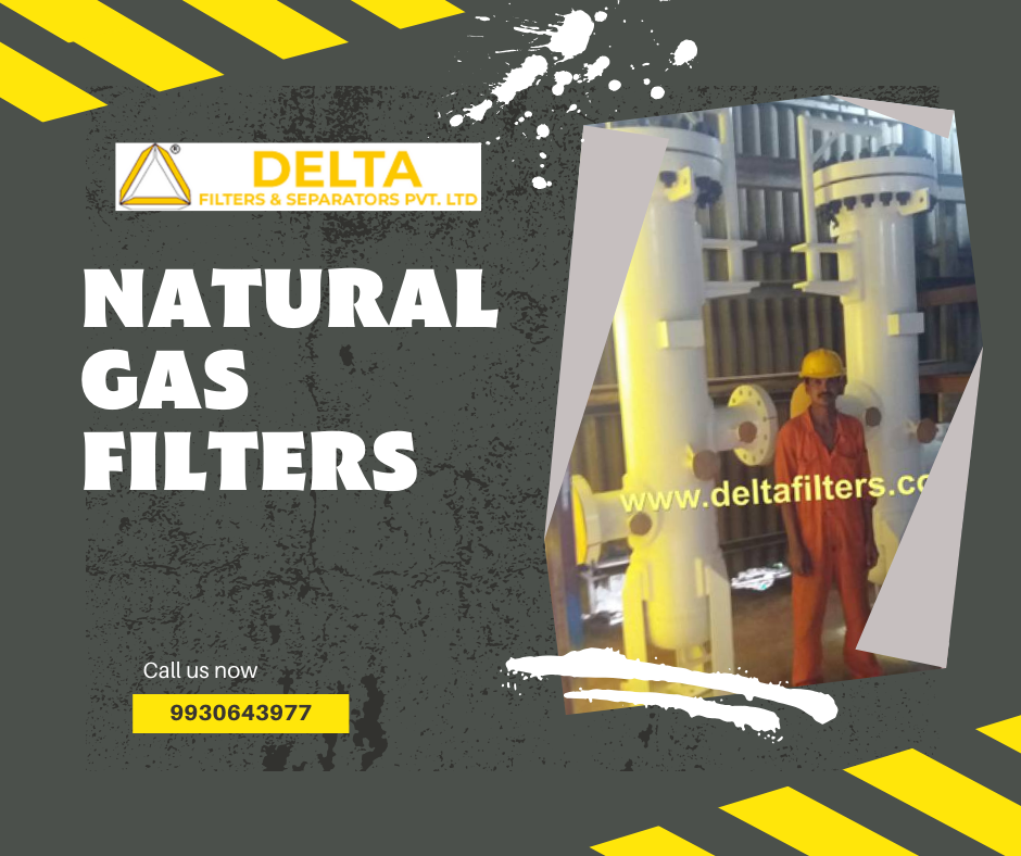 natural gas filter