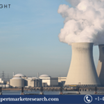 Nuclear Power Plant and Equipment Market Report