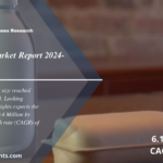 Paper Bottles Market Report 2024 to 2032: Industry Share, Trends, Size, Share, Growth and Forecast