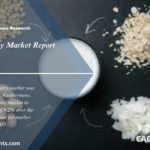 Plant Based Dairy Market 2024 to 2032: Share, Growth, Size, Trends and Report Analysis