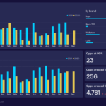 Sales Report and Sales Reports