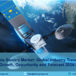 Satellite Data Service Market