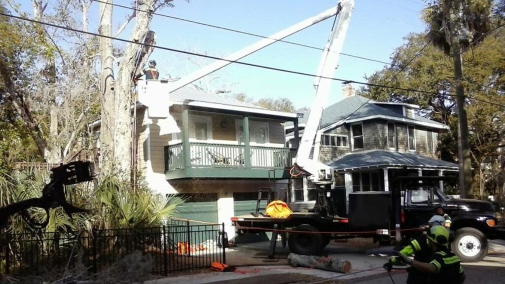 Strengthening Against the Storm: The Importance of Tree Trimming for Hurricane Preparedness