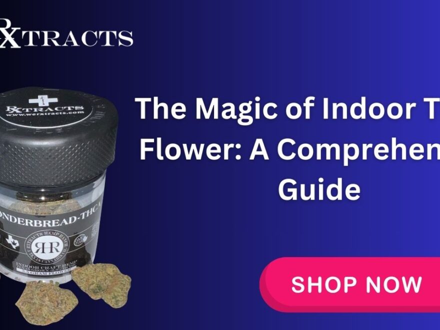 The Magic of Indoor THCA Flower A Comprehensive Guide