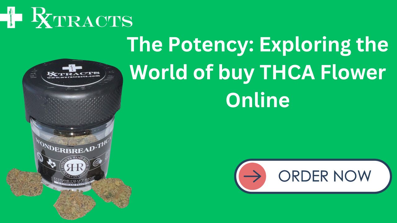 The Potency Exploring the World of buy THCA Flower Online