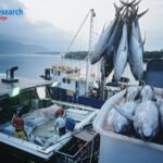 Global Tuna Fish Market will reach to US$ 52.85 Billion by 2028 | Renub Research