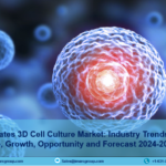 United States 3D Cell Culture Market Outlook, Size, Share, Trends, Analysis Report 2024-2032