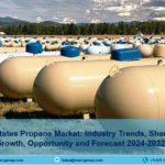 United States Propane Market Share, Size, Trends Analysis and Outlook 2024-2032