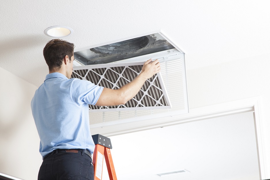 What Are Effective Ways To Improve Indoor Air Quality?