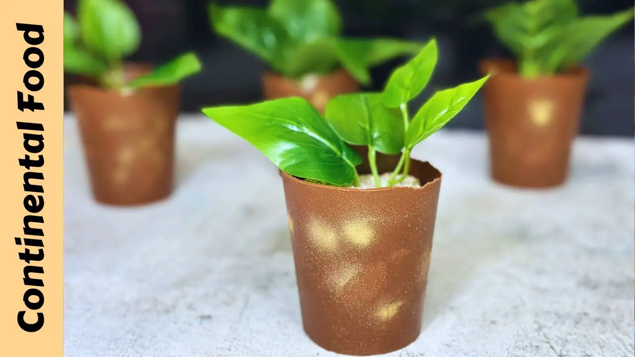 chocolate-plant-pot