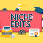 The Price of Quality: Exploring Niche Edit Costs for Effective Link Building