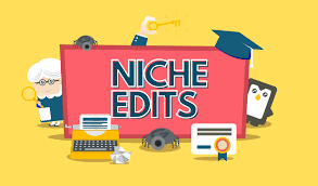 The Price of Quality: Exploring Niche Edit Costs for Effective Link Building