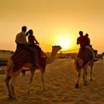 Unveiling the Enchantment: Your Guide to a Dubai Desert Safari