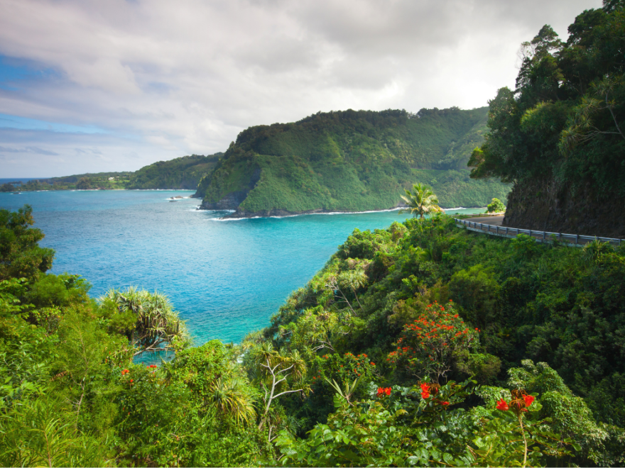 Road to hana tour