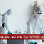 termite treatment