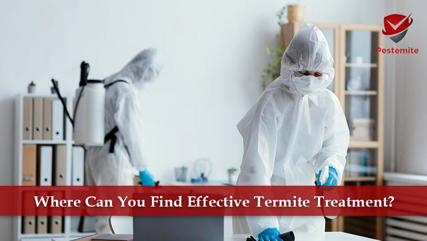 termite treatment