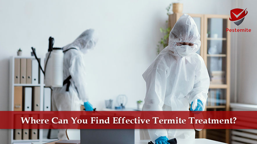 termite treatment