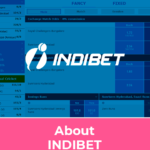 Indibit: Empowering Secure Online Access